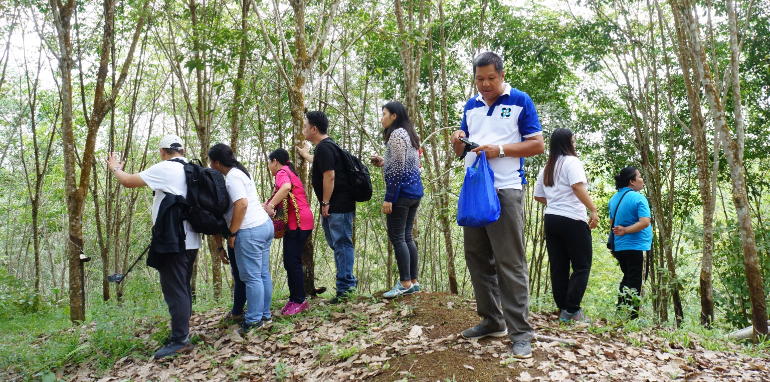 capacity-building-on-timber-legality-towards-achieving-sustainable